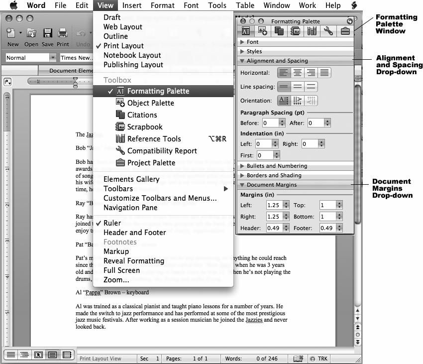 102 Computer Skills Workbook for Fluency with Information Technology, Fifth Edition Figure 4.5b Mac Word 2008 Formatting Palette. The Formatting Palette will be displayed, as shown in Figure 4.5b. You can drag the palette to any location on your screen.