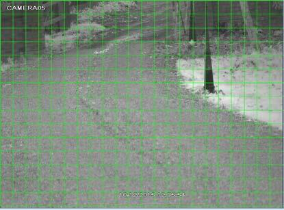 Motion Detection Motion detection has two pages: motion and schedule.