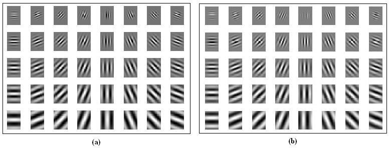 Fig. 1 shows typical Gabor wavelets (real and imaginary parts) of size 36 7 pixels generated using 5 scales ν є {0, 1,, 3, 4} and 8 orientations θ є {0, π/8, π/4, 3π/8, π/, 5π/8, 3π/4, 7π/8}. Fig.