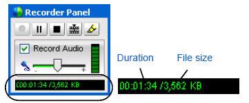 The Progress and File Size indicator on the Recorder Panel indicates the