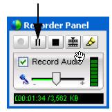 current size of the recording file in kilobytes.