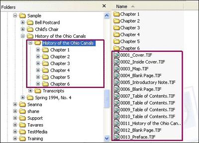When creating a monograph, you have the option of importing metadata and defining the monograph structure using a tab-delimited text file or you can use file directories to create the structure.