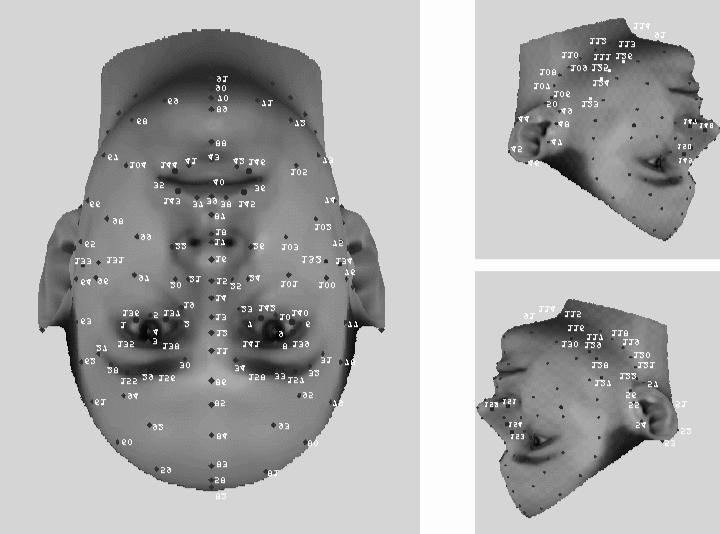 a) b) Figure 1: a) Reference points on the head models which were used for 3-D morphing and automatic extraction of facial components. b) Examples of synthetic faces.