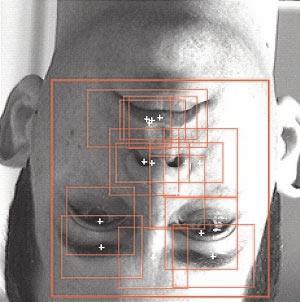 on the gray values of the whole face pattern.