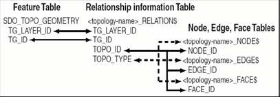 Topological Data Model Topology elements The basic topology elements in an Oracle topology are its nodes, edges and faces. These elements are all two-dimensional.