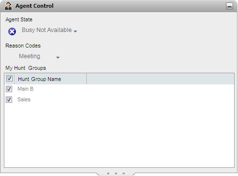 4.5.6 one-x Portal for IP Office Controls If you are also a IP Office Customer Call Reporter agent, this gadget is displayed in the one-x Portal for IP Office.
