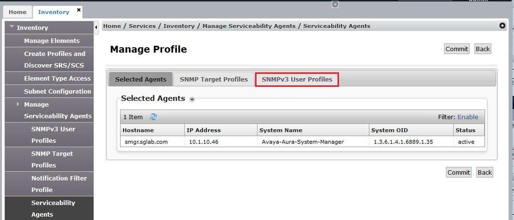 Check that the System Manager Agent Status is active.