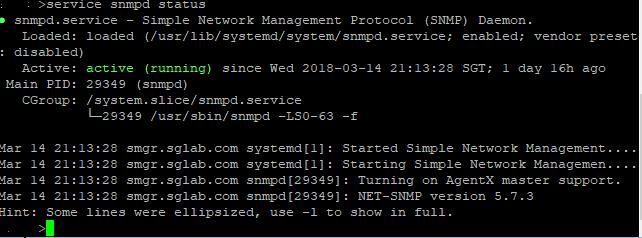 SSH into the System Manager command line interface and log in as valid user.
