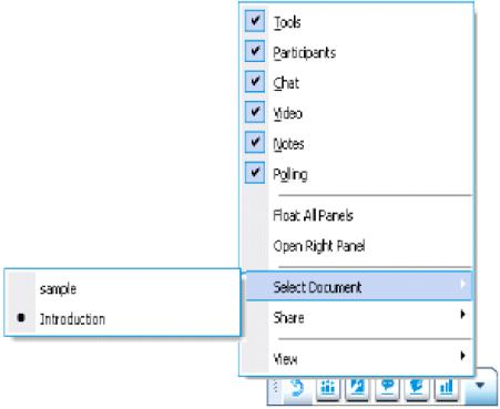 To display a different document: 1 On the floating icon tray, click the Select Panel button. It is the last button on the floating icon tray. 2 On the Select Panel menu, choose Select Document.