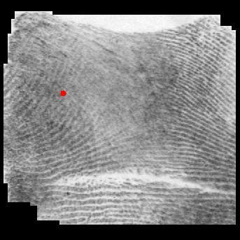 Reference Point Detection for Arch Type Fingerprints 673 Fig. 7. Two instance of the same finger.