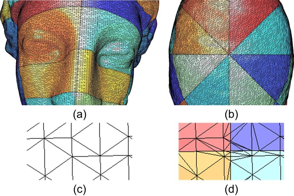 RESEARCH REPORT OF LIRIS 6 Fig. 2. (a), (b) and (d) illustrate three close-ups of the decomposed Venus head mesh; the original connectivity of (d) is shown in (c).