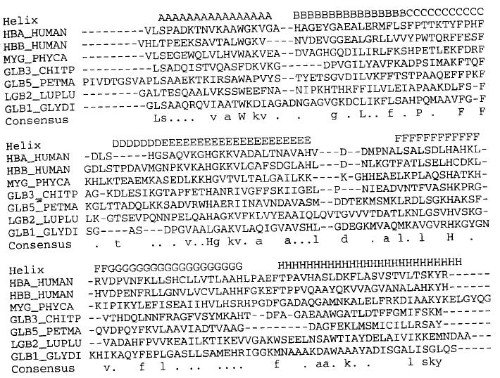 Sequences from a Globin Family Alignment of 7 globins