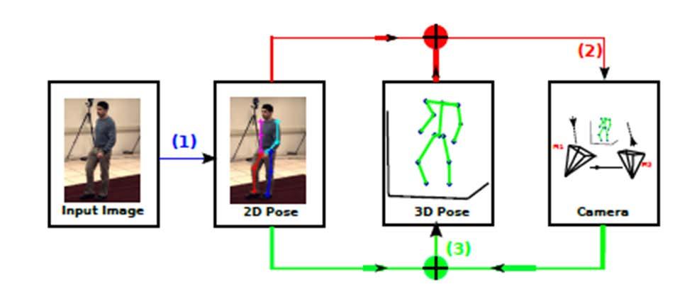 From 2D to 3D. Pose detection with and with occlusion. Prior connected parts for occlusion (validated on WAF) Efficient inference despite occlusion due to part sharing.