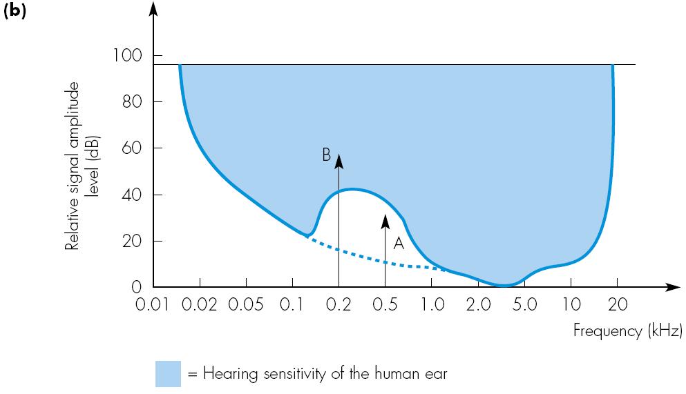 Perceptual Properties of the Ear: Frequency Masking Variation with Frequency Effect of Frequency Masking Loud tone suppresses a quieter one. Tone B masks Tone A.