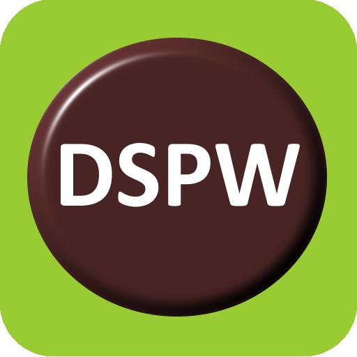 DSP Wireless