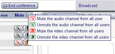 Mute and restore video and audio for individual participants. Click to mute audio. Click to mute video.