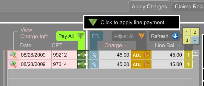 Click the Pay icon to apply a line payment, or an adjustment to a specific line, or