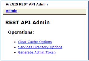 2. Requirements and Prerequisites The REST API Admin page opens, as shown in the following image. 3. Click the Clear Cache Options hyperlink.