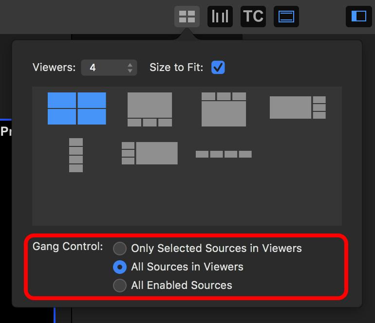 5.2. Gang Recording You can set up MovieRecorder 4 to control multiple recordings at once. Once one or more viewers are selected, gang controls appear on the bottom of the UI.