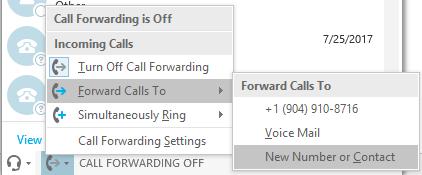 Click the Call Forwarding icon on the bottom left corner of your Skype