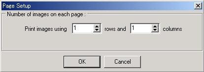 ( page 59) Print Setup Print Setup window sets a printer and the number of images per page. 1. Select [Print] [Printer Setup] on the menu bar.