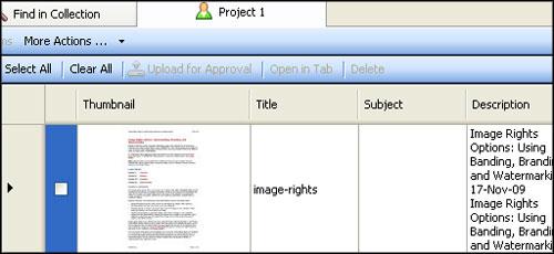 Figure 13: Project spreadsheet 7. In the Project Spreadsheet, edit the title in the required Title field and enter other metadata.
