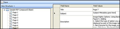 Figure 26: Editing metadata of a page of the compound object 3. Click Save to save your changes.