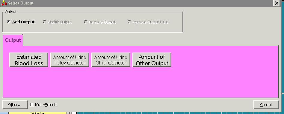 Outputs not already on record 1. Click on the Output toolbar button 2. This will bring up the Output Selection dialog box, which is very similar to the Intake Selection dialog box.. 3.