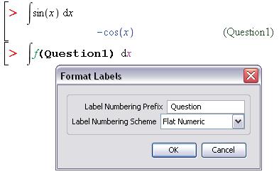 100 3 Worksheet Mode Figure 3.6: Format Labels Dialog: Adding a Prefix Features of Equation Labels Although equation labels are not descriptive names, labels offer other important features.