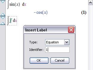 50 1 Getting Started To apply equation labels: 1. Enter an expression and press Enter. Note that the equation label is displayed to the right of the answer in the document. 2.