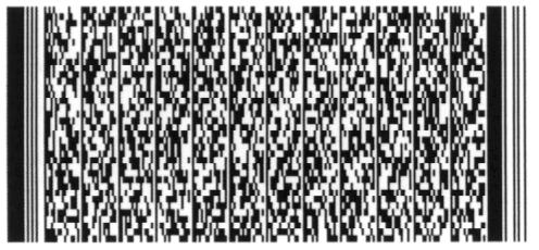 Dynamic Programming and High Density Bar Codes Symbol Technology has developed a new design for bar codes, PDF-417 that has a capacity of