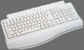 Input Devices: