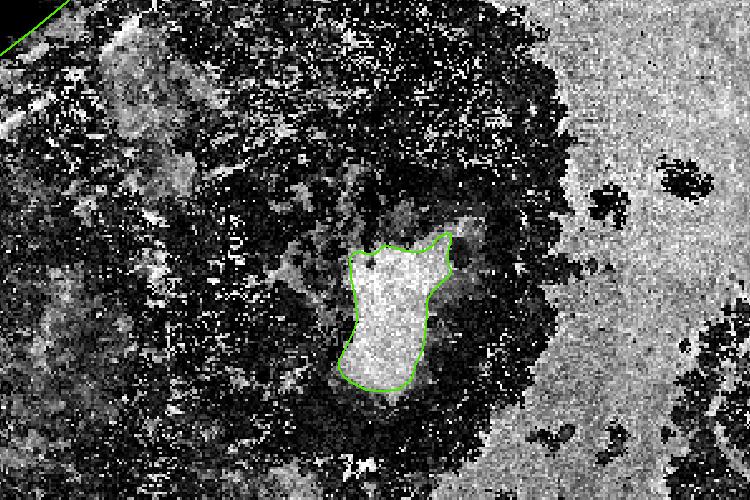 Figure 19 Full point cloud intensity image of tile u309320_1_a_in. A pond breakline has been drawn around an area containing no water.