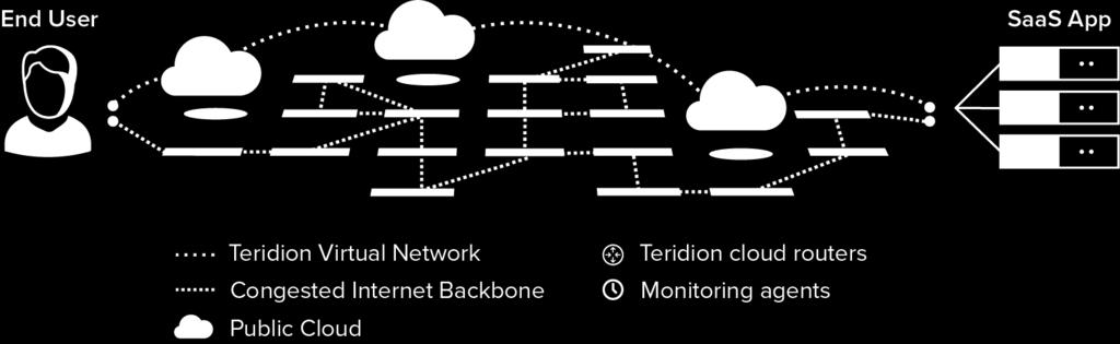 Teridion is unique in leveraging public cloud infrastructure to provide optimal routing across the Internet Backbone.