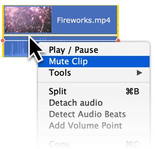 Disabling tracks To hide an entire track from view, click the eye icon to the left of the track