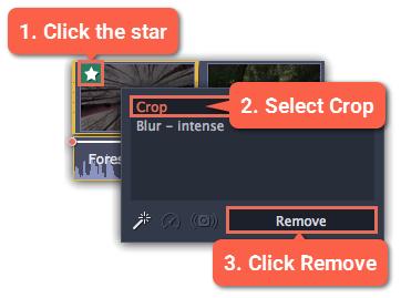 Removing crop To remove Crop or any other effect, click the star click the Remove button to discard the effect. icon on the clip to show the list of applied effects and filters.