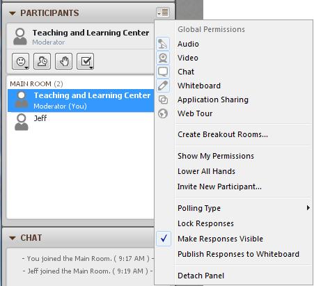 The Options Menu, accessed from the participants pane, allow the moderator to control what privileges are granted to the session participants.