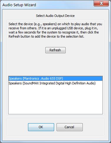 Clicking this Icon opens the Audio Setup Wizard You can access the Audio Setup Wizard at any time