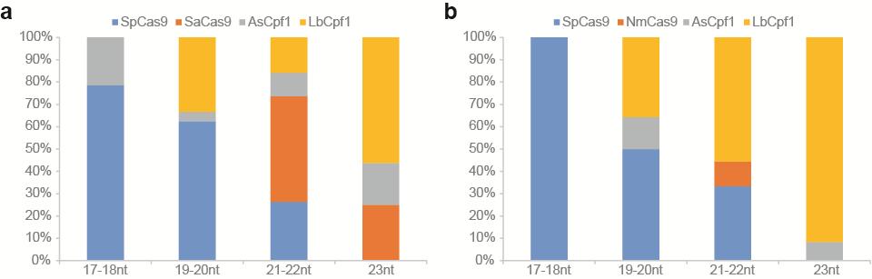Figure S12 Identification of Cas enzymes with the highest cleavage efficiencies at different spacer lengths.