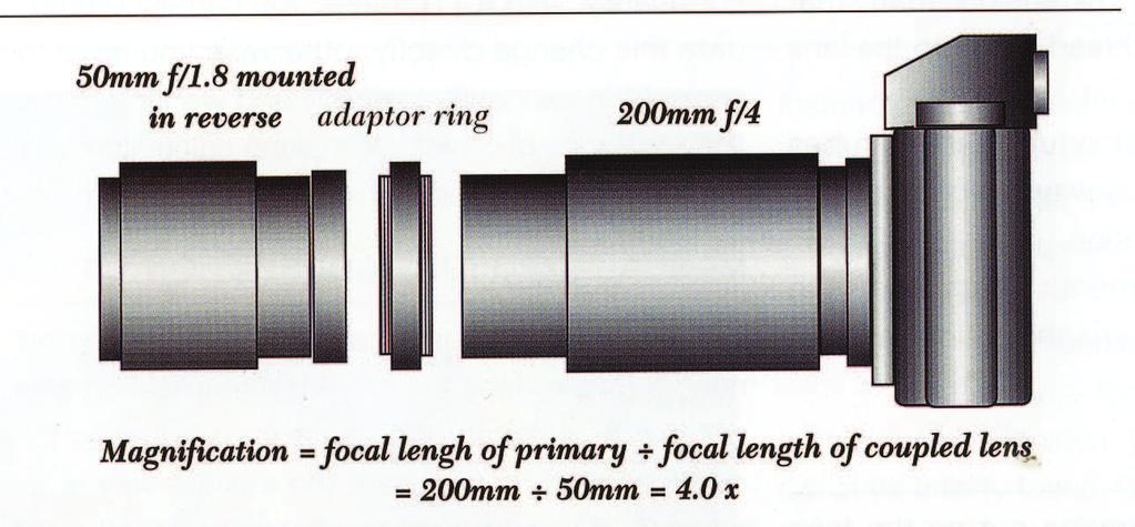 5 Stacking lenses : This is an advance technique which relies on using two lenses. In the example shown below a 200 mm f4 and a 50 mm f1.8 are used.