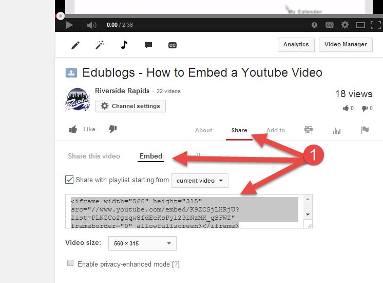 Step 3: Paste the URL on a line by itself in your post/page editor where you want the video to appear. Your video will appear on your blog when you publish your post.