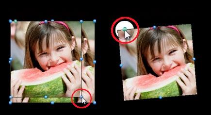 To remove a picture from a picture box, right-click on the picture and select Clear.