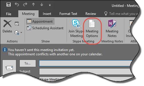Setting Custom Meeting Options If you are setting up a Skype for Business conference for smaller, more casual meetings with coworkers, the default settings are generally fine.