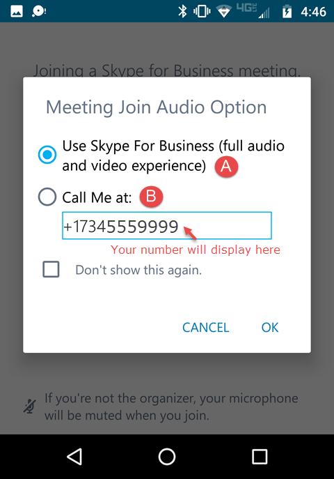 An audio set-up window displays, similar to the following: Desktop audio set-up Skype for Business mobile audio set-up 2.
