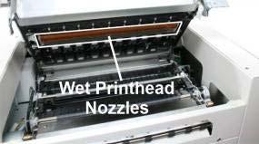 Be liberal with the amount of water you leave behind on the nozzles (the thin dark line on bottom of printhead cartridge). See images below.