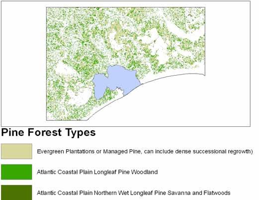 ERDC/CERL TR-11-8 8 Figure 7. Individual pine forest patches extracted from GAP landcover for Fort Bragg study area. As part of this multi-year effort, statewide coverage of high resolution (20 ft/6.