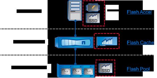 Virtual Storage Tier The NetApp Virtual Storage Tier has three components: Flash Pool for caching data at the disk device level, Flash Cache for