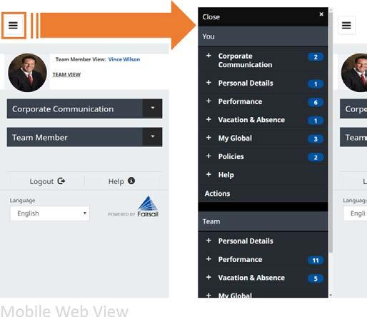 Functionality How does Mobile differ from Mobile Web View?