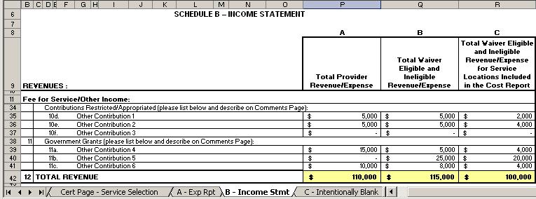 Real-time Edits Example Error Message: Message Interpretation: B Income Stmt, Line 12 Total Provider Revenue/Expense or Total Waiver Revenue/Expense must be adjusted such that Total Provider