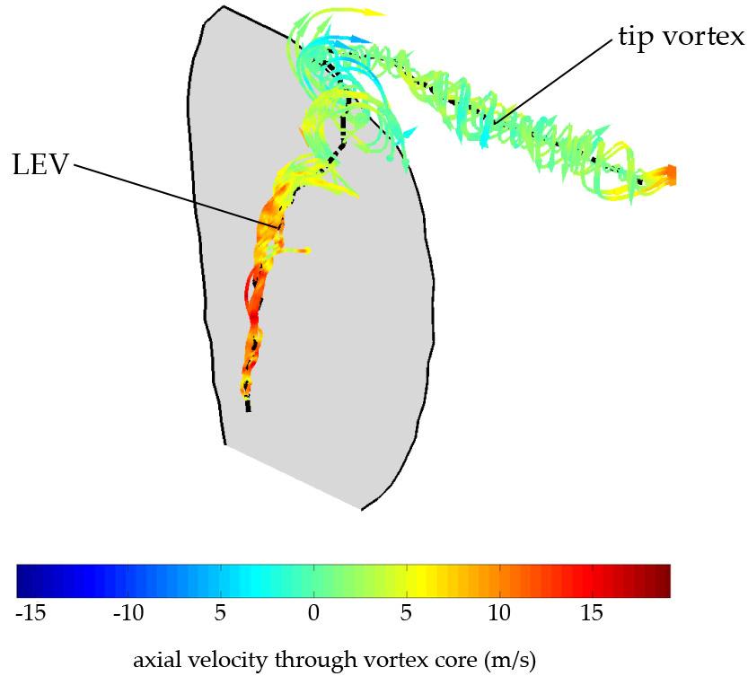 Figure 3: Instantaneous streamlines coloured with axial velocity highlighting LEV and tip vortex over wing at a 20Hz flapping